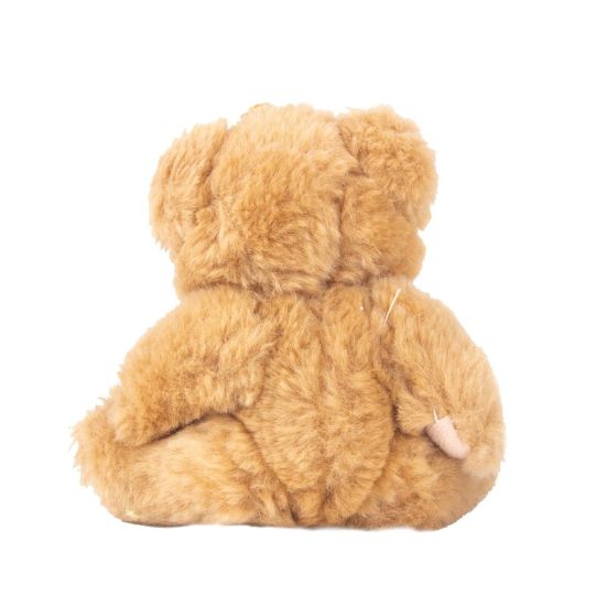 Plush Bear Buddy