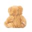 Plush Bear Buddy
